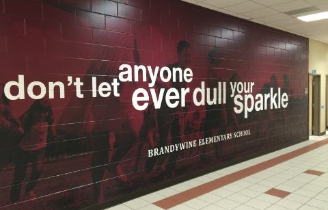 wall graphics are a form of indoor signage